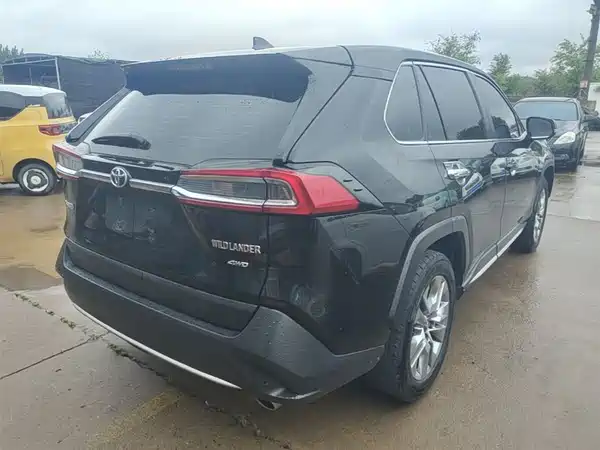 Toyota Wildlander 2020