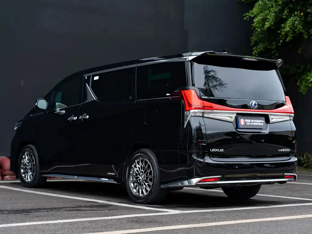 Lexus LM 2020 — фото 14