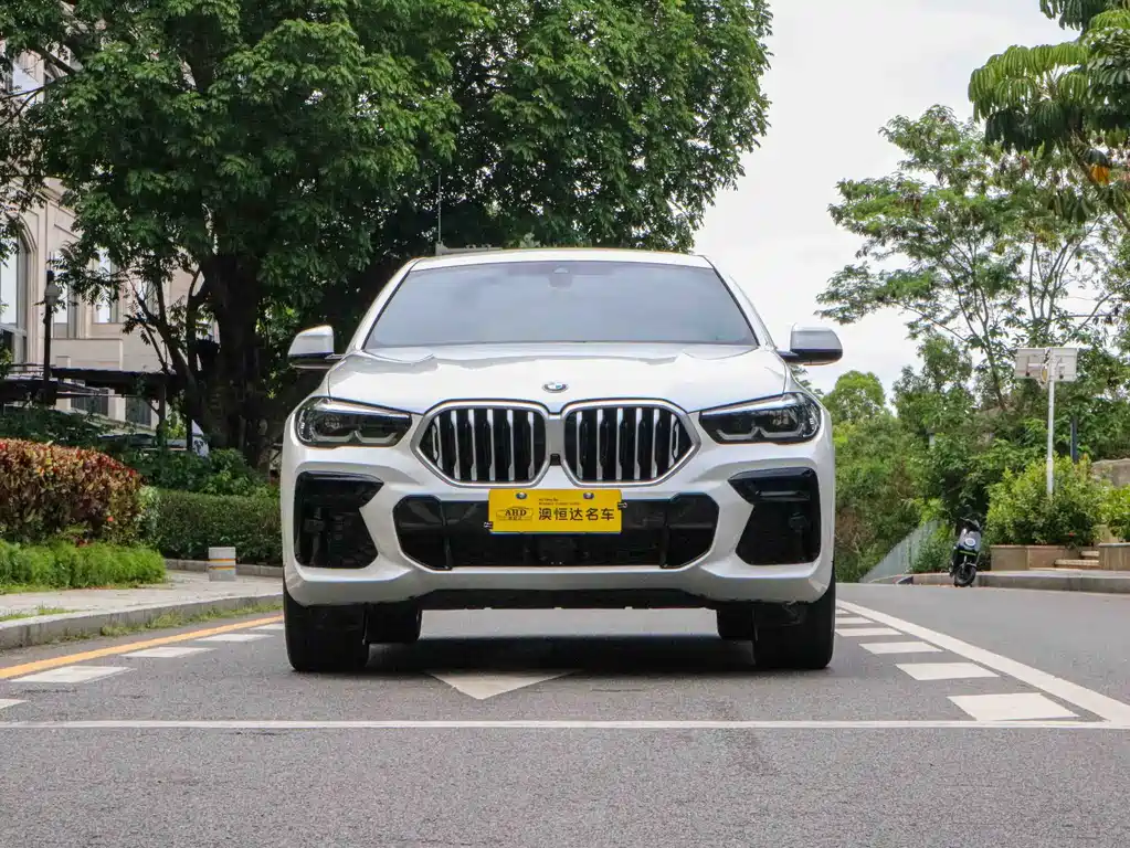 BMW X6 2022 — фото 3