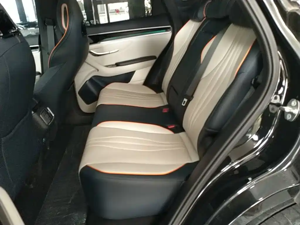 BYD Song PLUS New Energy 2024 — фото 17