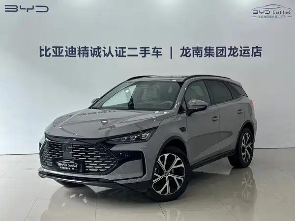 BYD Tang New Energy 2025