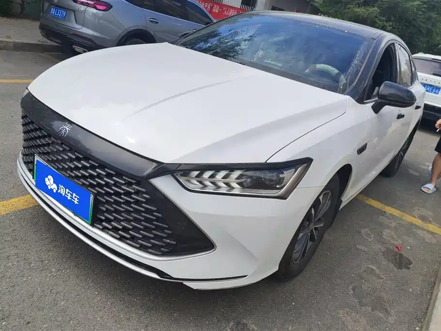 BYD Qin PLUS 2024 — фото 1