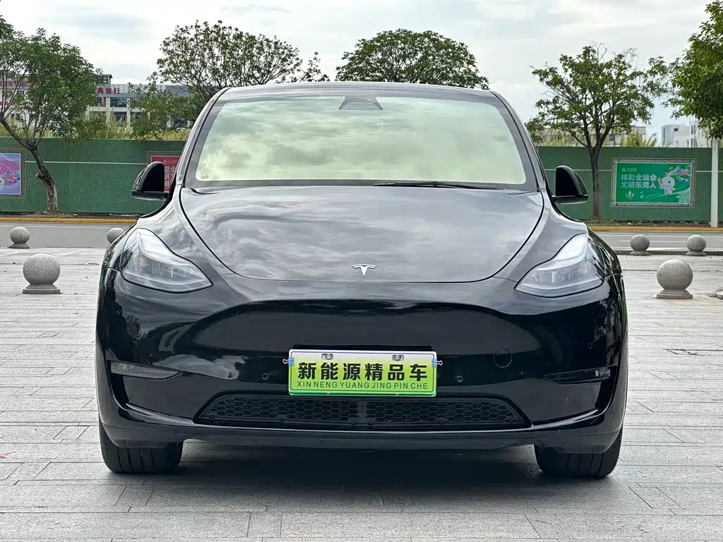 Tesla Model Y 2021 — фото 2
