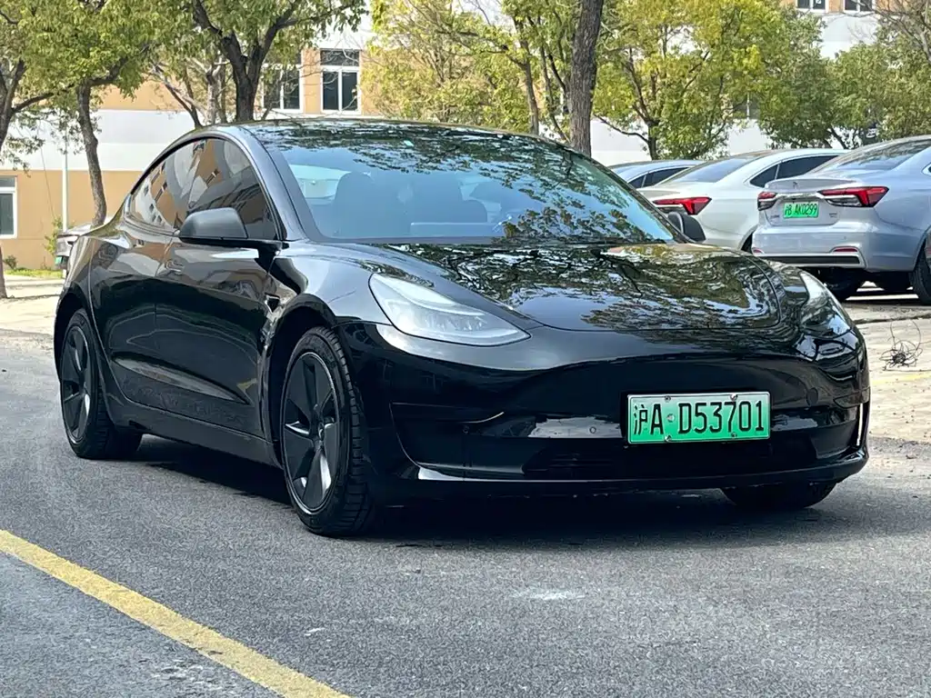 Tesla Model 3 2021