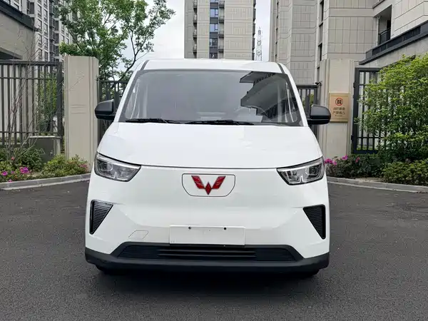 Wuling Yangguang 2024