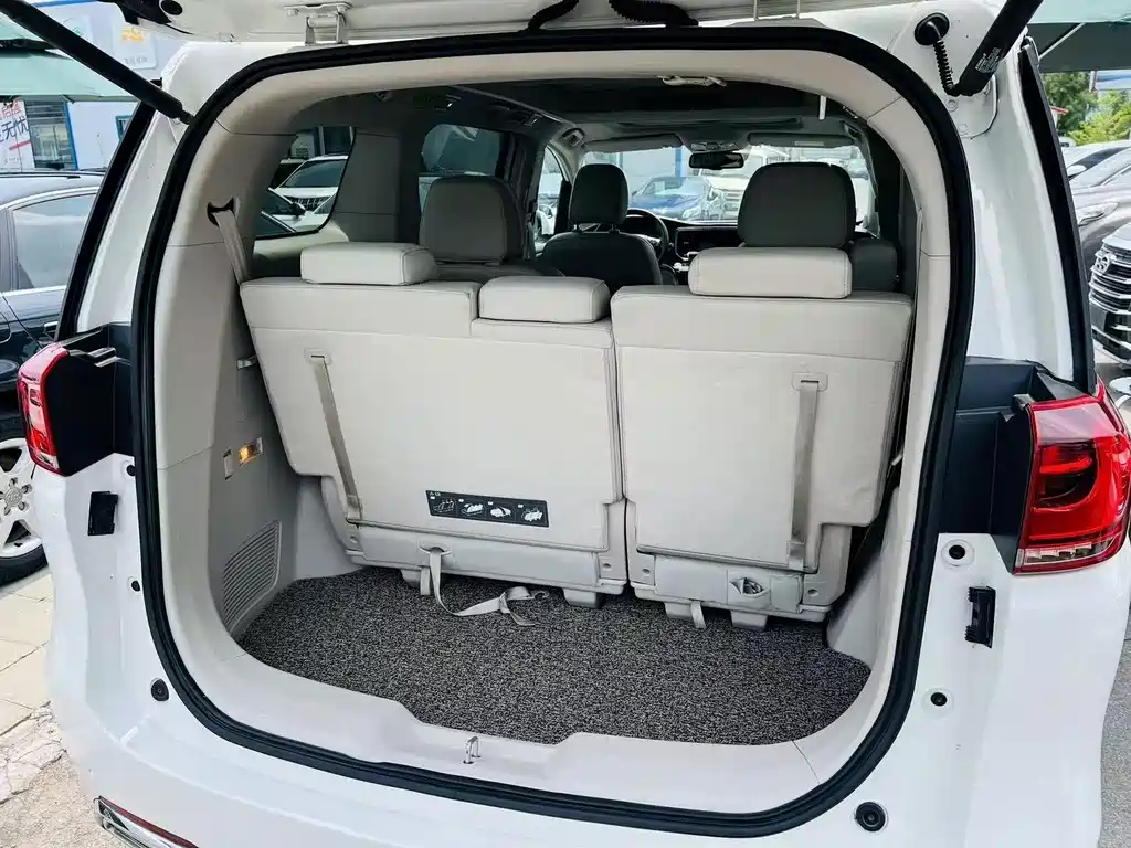 GAC Trumpchi M8 2018 — фото 11