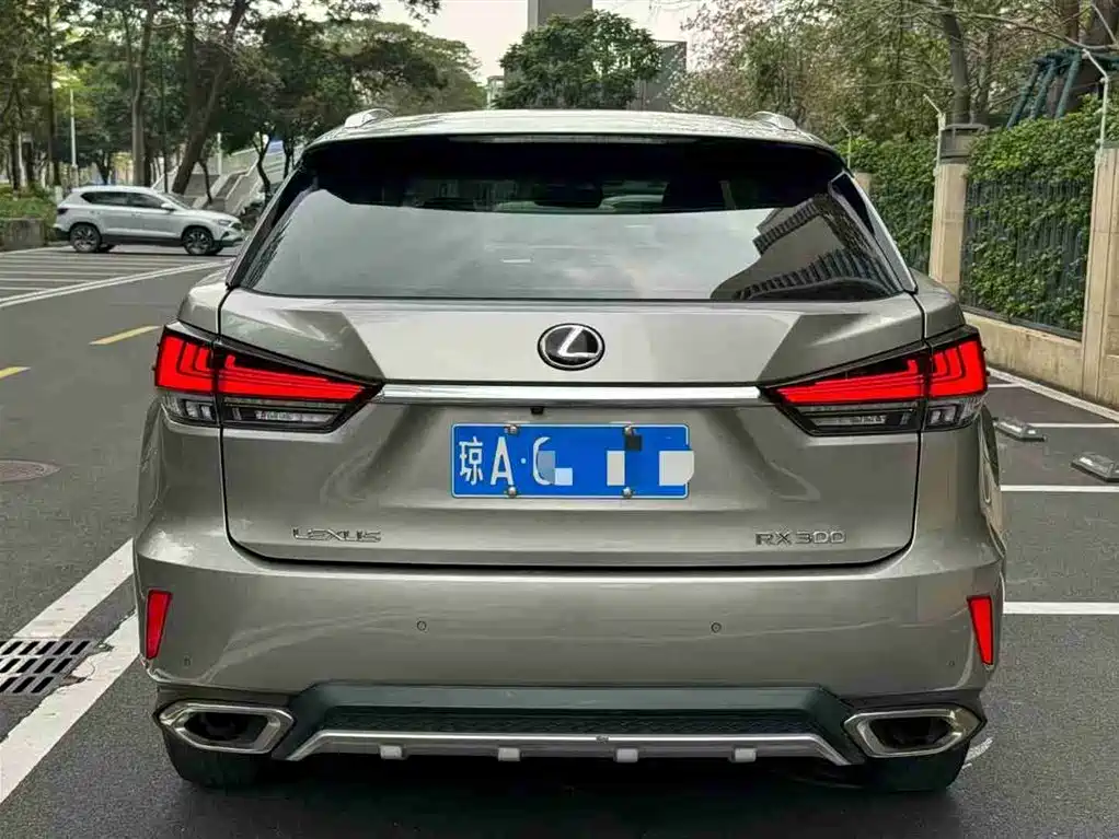 Lexus RX 2019 — фото 5