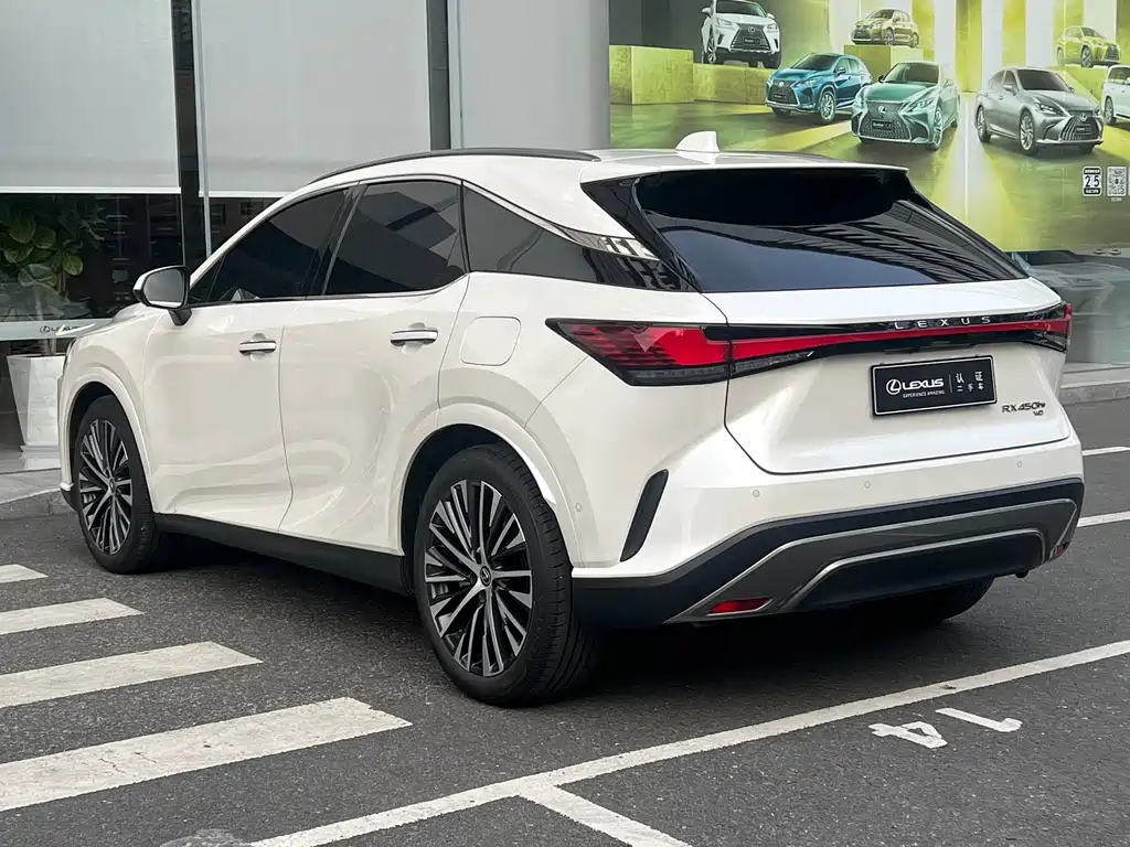 Lexus RX New Energy 2023 — фото 13