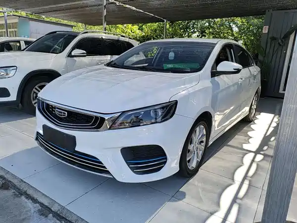 Geely Binrui 2021