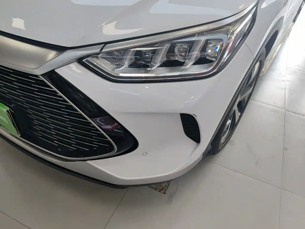 BYD Song PLUS New Energy 2021 — фото 24