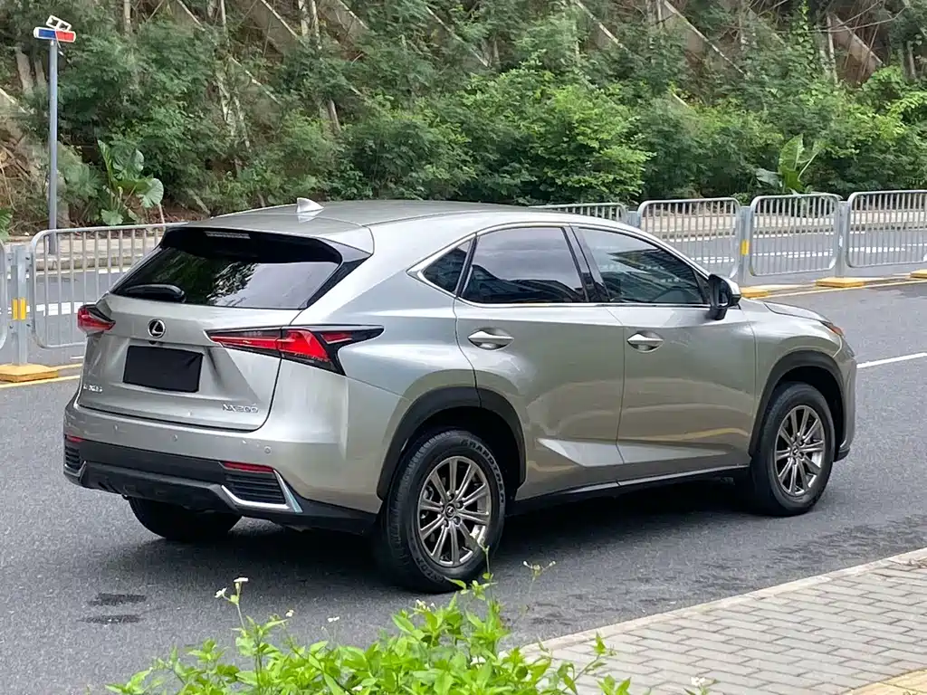 Lexus NX 2020 — фото 9