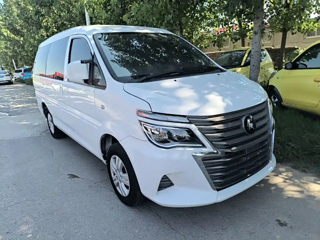 Dongfeng Lingzhi 2022