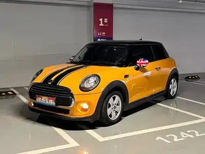 MINI MINI 2015