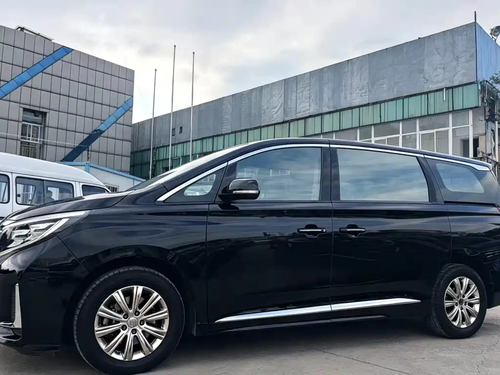 GAC Motor Trumpchi M8 2020 — фото 2