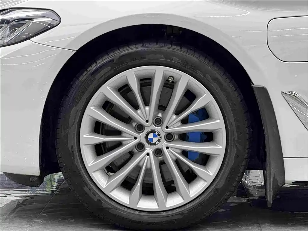 BMW 5 Series New Energy 2021