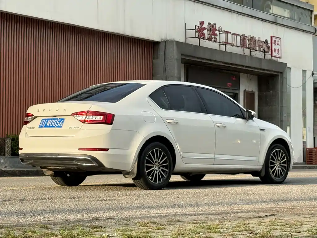 Skoda Octavia 2019 — фото 8