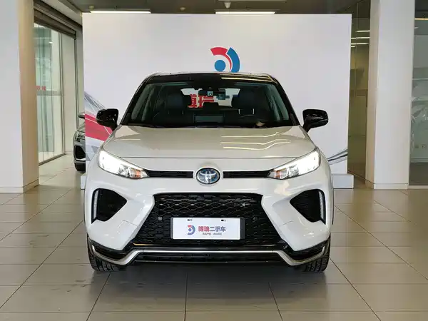 Toyota Weilanda New Energy 2021