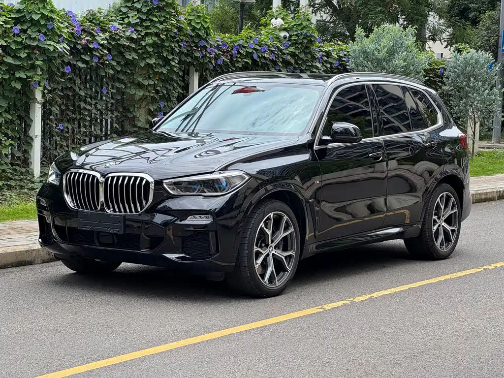 BMW X5 2019