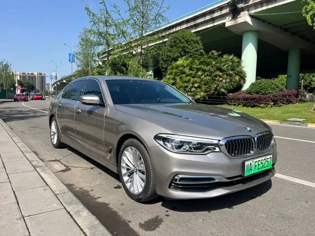 BMW 5 Series New Energy 2020