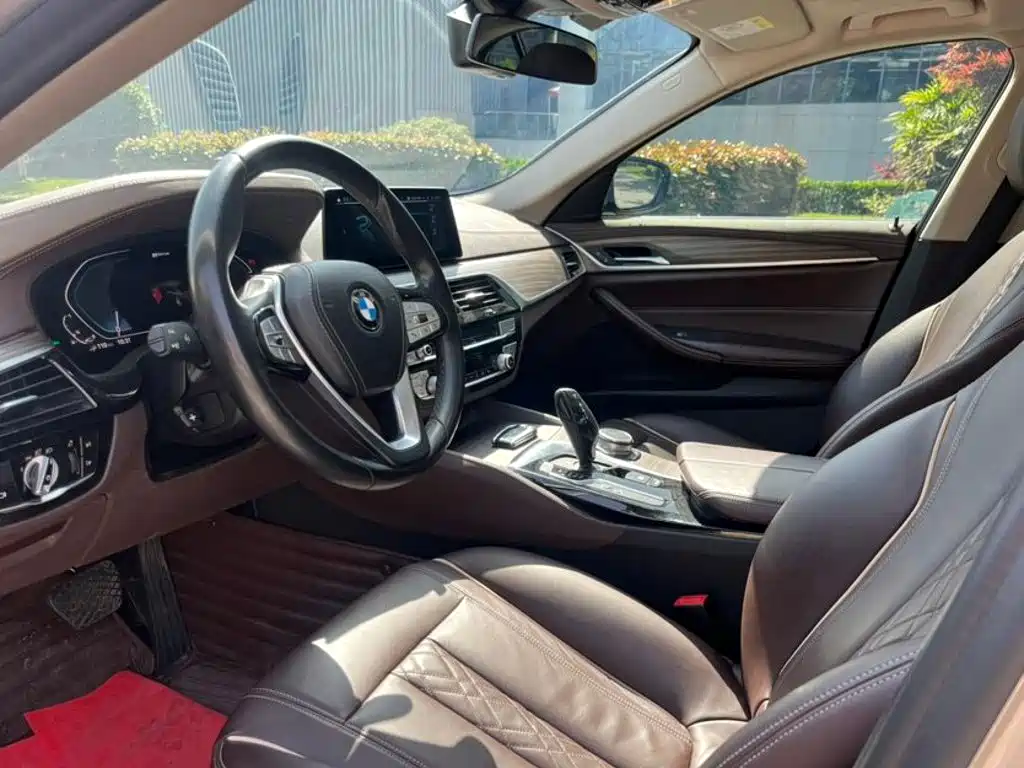 BMW 5 Series New Energy 2020