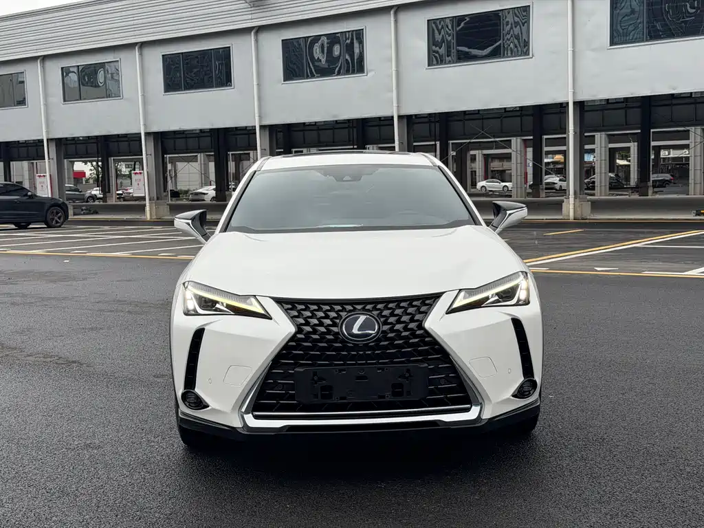 Lexus UX New Energy 2020 — фото 2