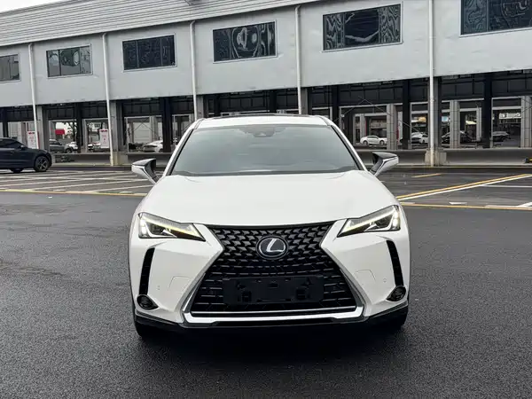 Lexus UX New Energy 2020