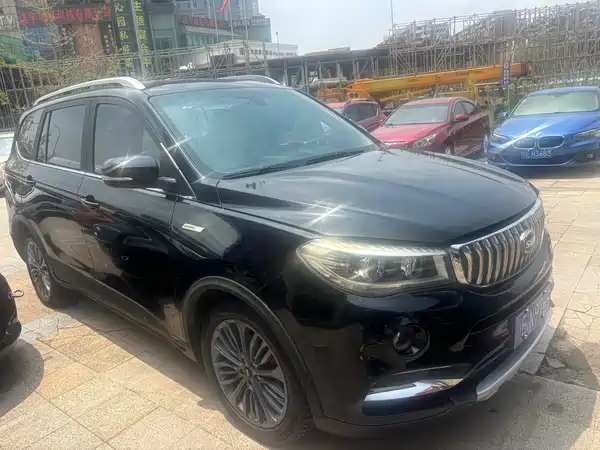 SWM X7 2019