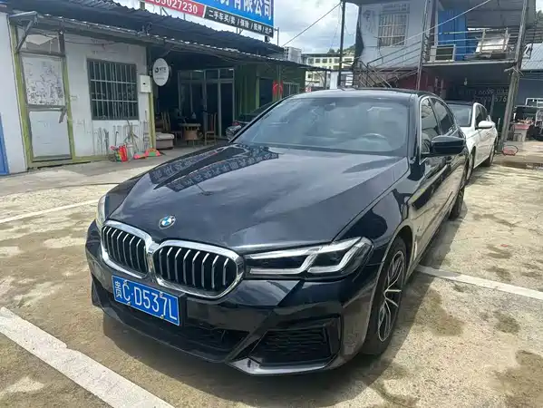 BMW 5 Series 2021