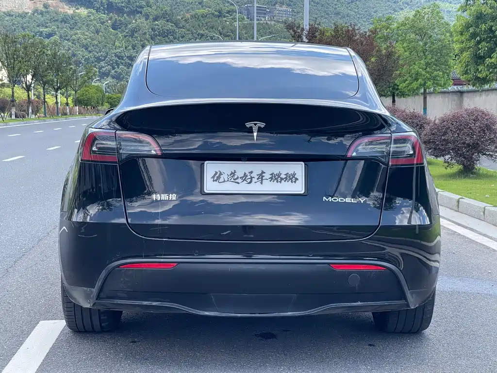 Tesla Model Y 2021 — фото 12