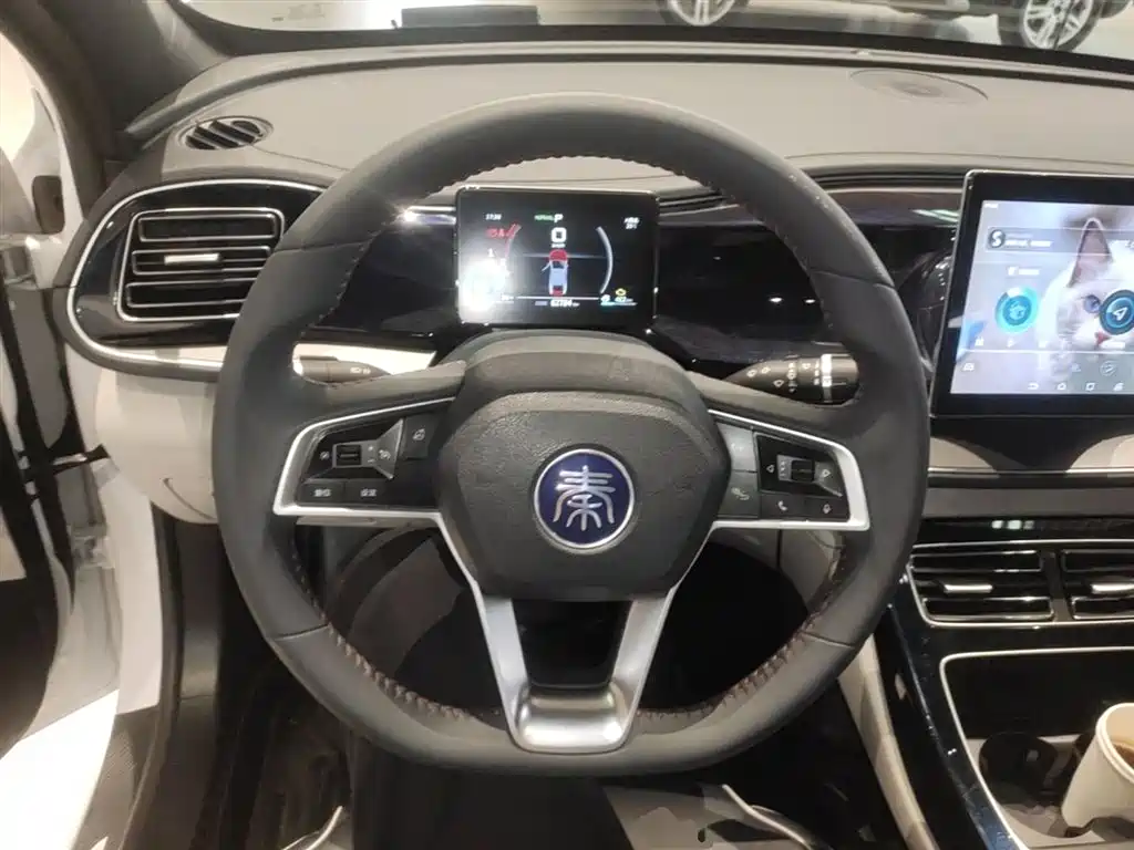 BYD Qin PLUS 2021 — фото 11