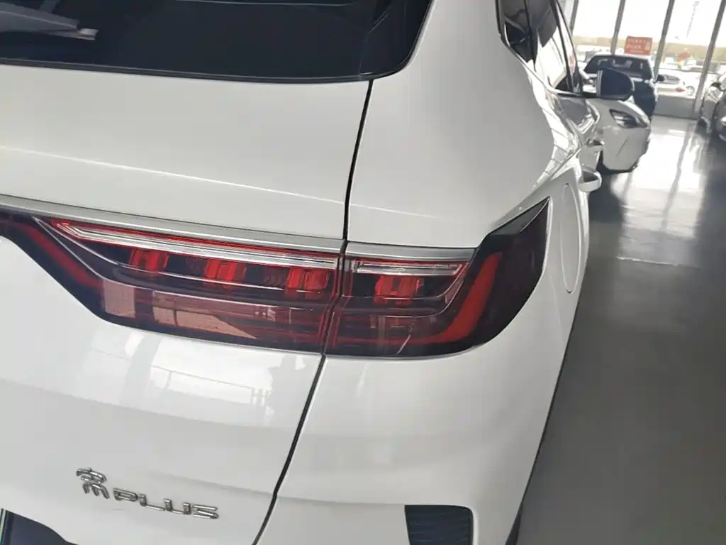 BYD Song PLUS New Energy 2023 — фото 8