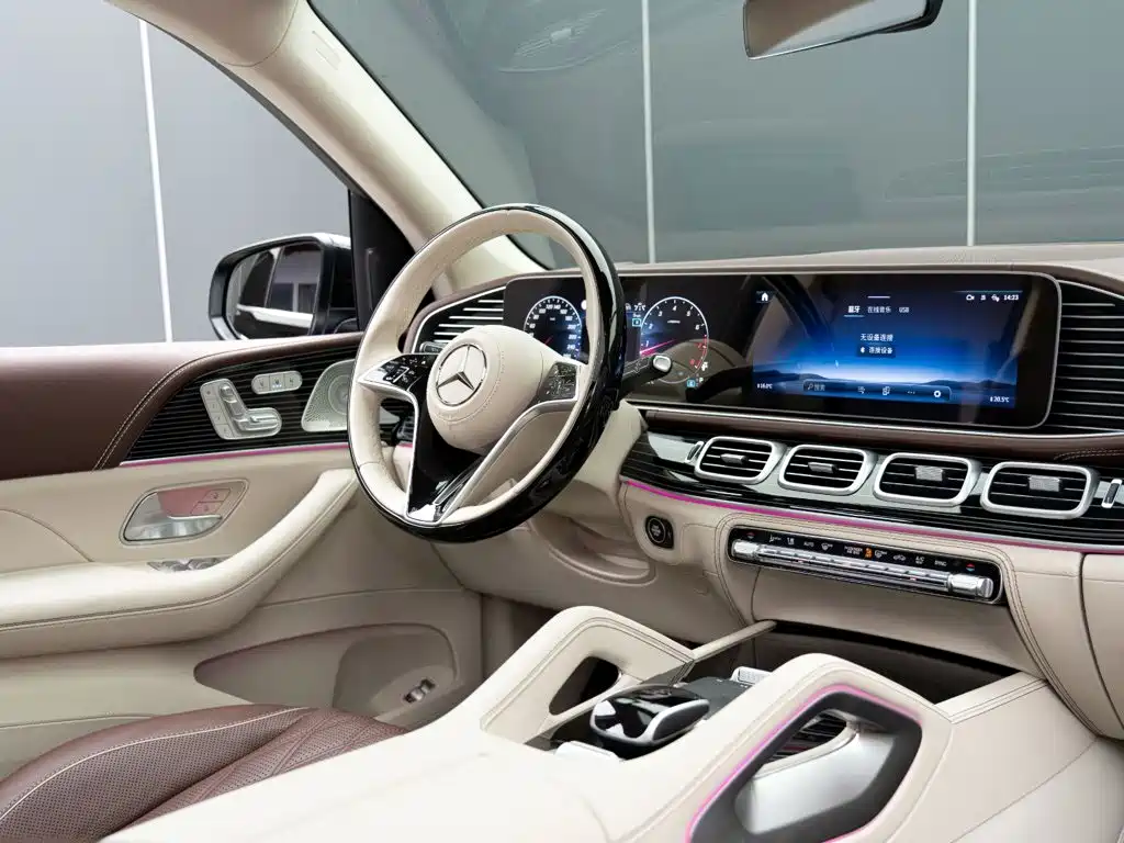 Mercedes-Benz Maybach GLS 2024 — фото 13