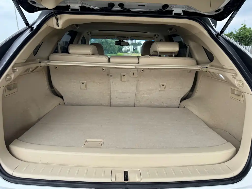 Lexus RX Classic 2013 — фото 17