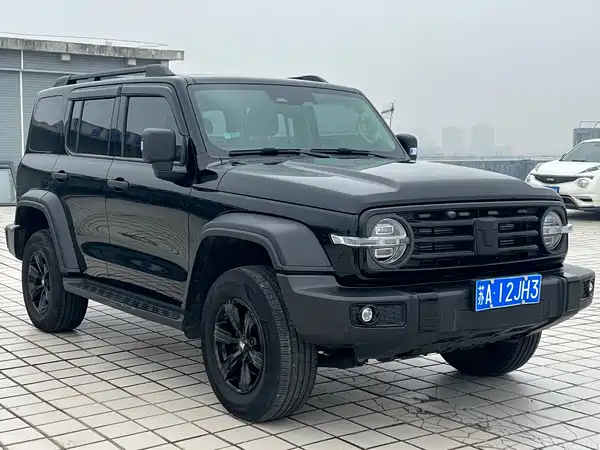 Tank 300 2024