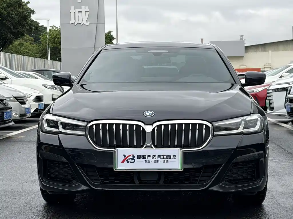 BMW 5 Series New Energy 2022