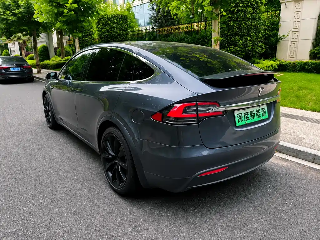 Tesla Model X 2019 — фото 9