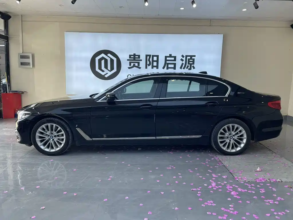 BMW 5 Series New Energy 2019