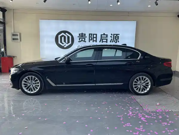 BMW 5 Series New Energy 2019