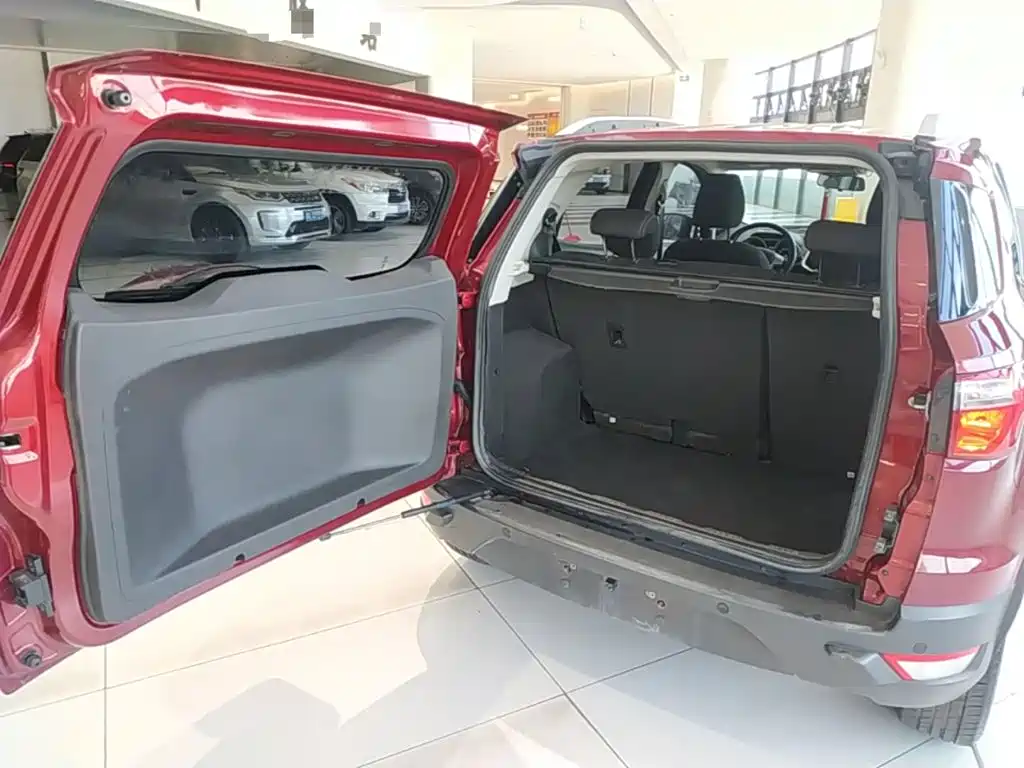 Ford EcoSport 2015 — фото 19