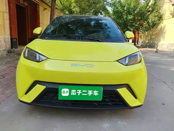 BYD Seagull 2024