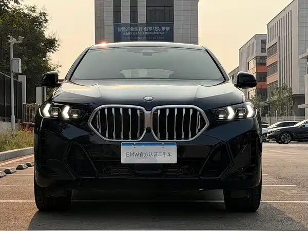 BMW X6 2025