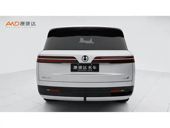 Denza N9 2025