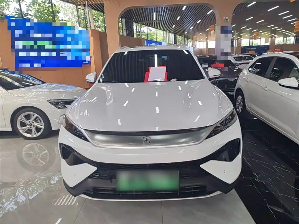 BYD Pro New Energy 2025 — фото 3
