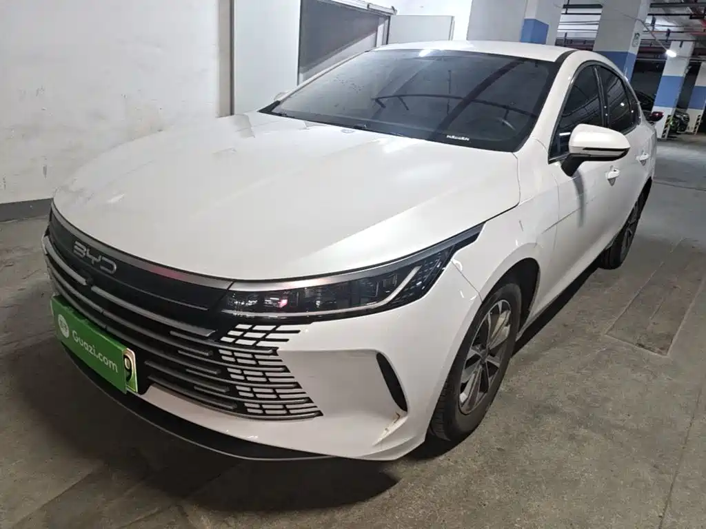 BYD Destroyer 05 2024 — фото 1