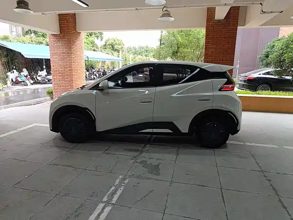 BYD Seagull 2026