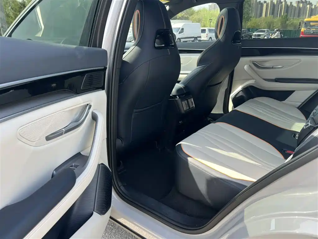 BYD PLUS New Energy 2023 — фото 15