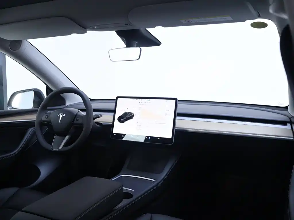 Tesla Model Y 2021 — фото 19