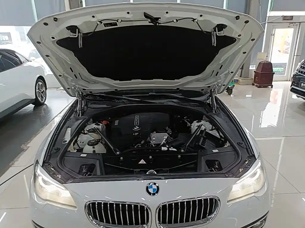 BMW 5 Series 2016 — фото 20