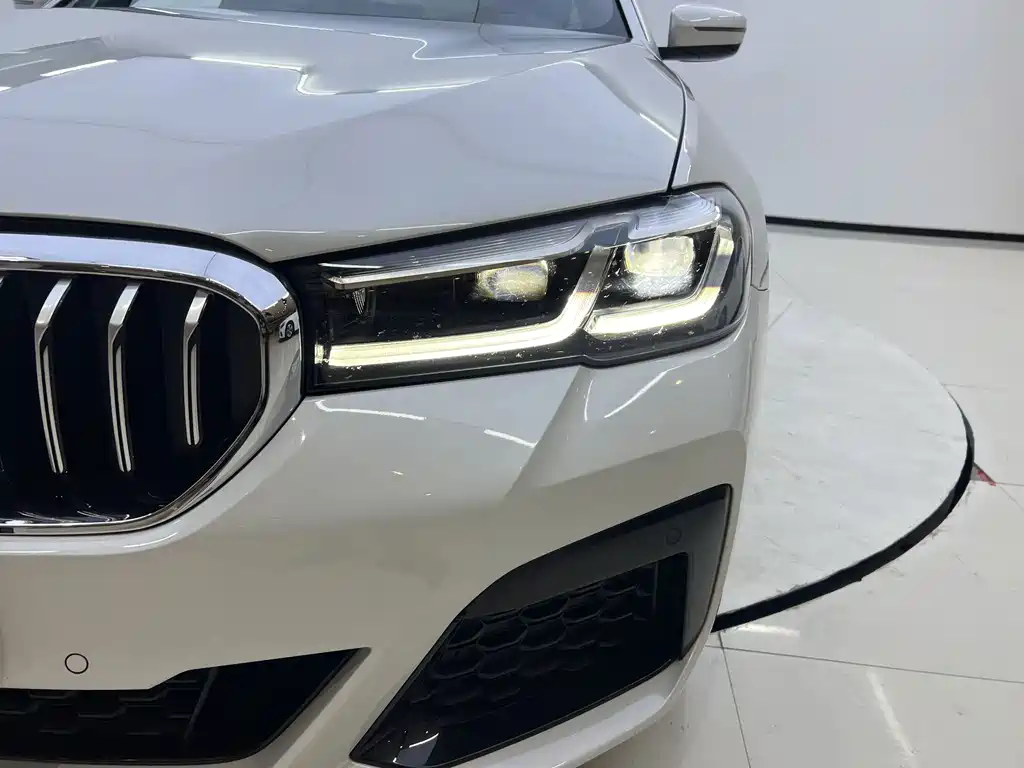 BMW 5 Series New Energy 2022