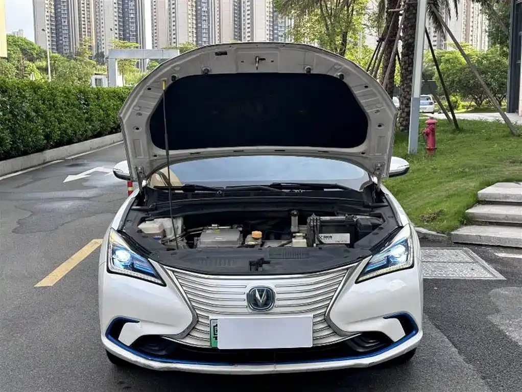 Changan Eado New Energy 2019 — фото 15